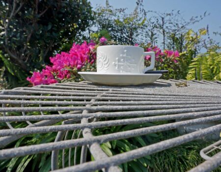 Battle of the Beans - spring and coffee